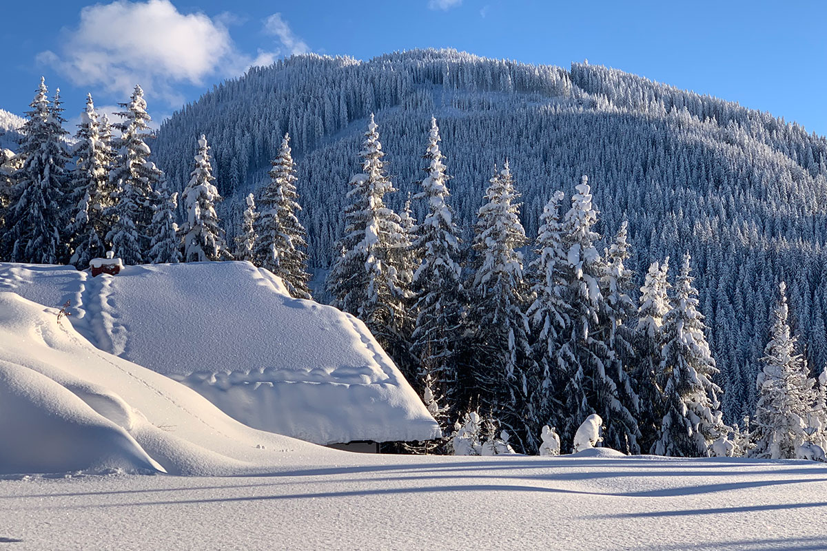 designferienhaus-xxl-chalet-ski-in-out-wagrain-57